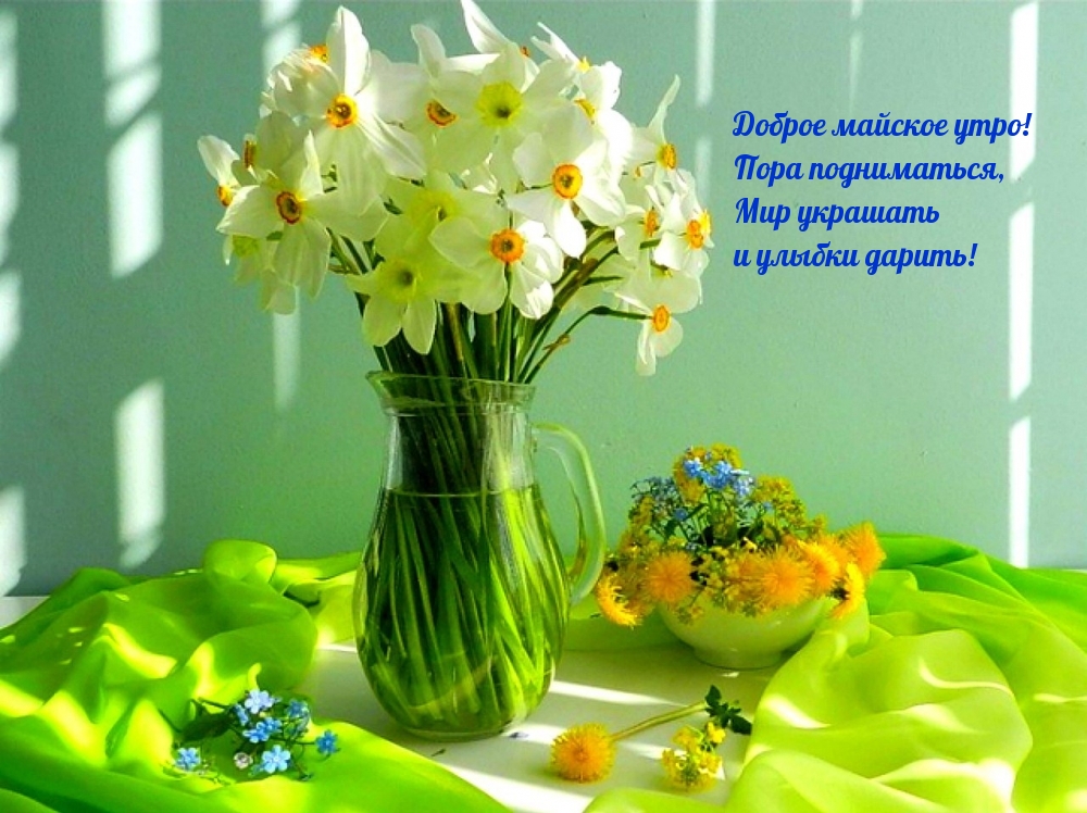 Чудесного майского утра Чудесного майского утра