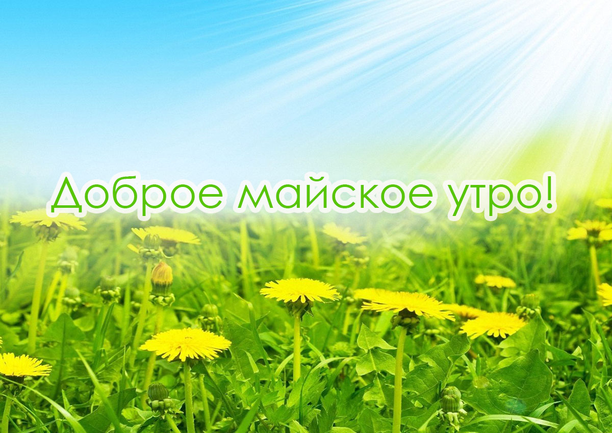 Доброе Майское утро открытки Доброе Майское утро открытки