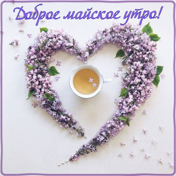 Пожелания с добрым майским утром Пожелания с добрым майским утром