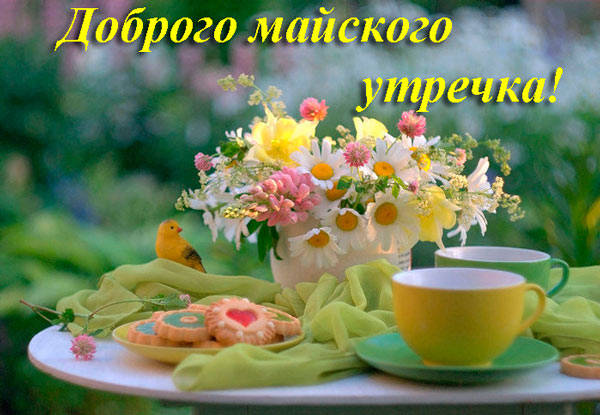 Майское утро прекрасно, но если провести его в приятной обстановке и в компании своей любимой семьи, то оно станет еще лучше. Майское утро прекрасно, но если провести его в приятной обстановке и в компании своей любимой семьи, то оно станет еще лучше.