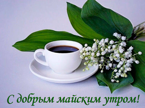 Открытки "Доброго утра мая!" бесплатно (50 шт.). Открытки "Доброго утра мая!" бесплатно (50 шт.).