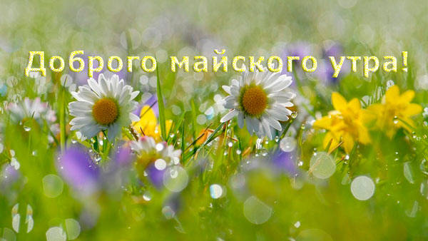 Если вы хотите в это волшебное утро поделиться своим замечательным настроением с родными и близкими, здесь можно найти и скачать красивые картинки. Если вы хотите в это волшебное утро поделиться своим замечательным настроением с родными и близкими, здесь можно найти и скачать красивые картинки.