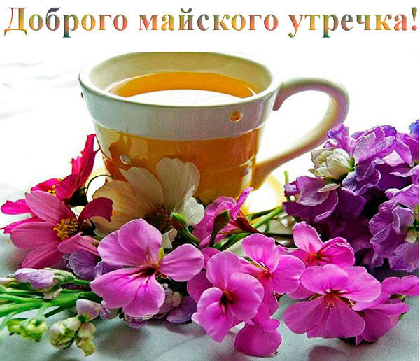 Открытки с пожеланиями доброго майского утра станут отличным поводом, чтобы начать переписку с вашим другом, пока вы наслаждаетесь вкусным завтраком и чашечкой ароматного кофе перед рабочим днем. Открытки с пожеланиями доброго майского утра станут отличным поводом, чтобы начать переписку с вашим другом, пока вы наслаждаетесь вкусным завтраком и чашечкой ароматного кофе перед рабочим днем.