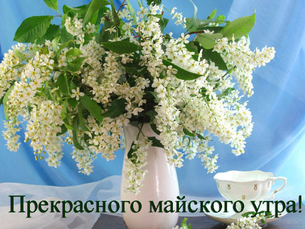 Пожелания с добрым майским утром. Пожелания с добрым майским утром.