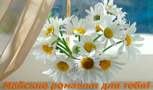 Красивые картинки с добрым утром! Красивые картинки с добрым утром!