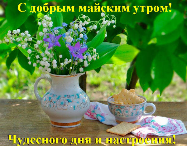 С Добрым Майским Утром Картинки Красивые. С Добрым Майским Утром Картинки Красивые.
