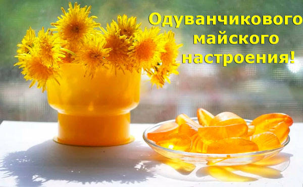 С прекрасным майским добрым утром С прекрасным майским добрым утром