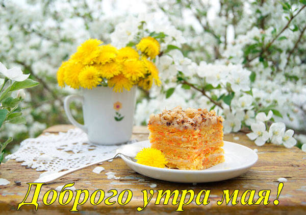 Доброго вам, солнечного и теплого майского утра. Доброго вам, солнечного и теплого майского утра.