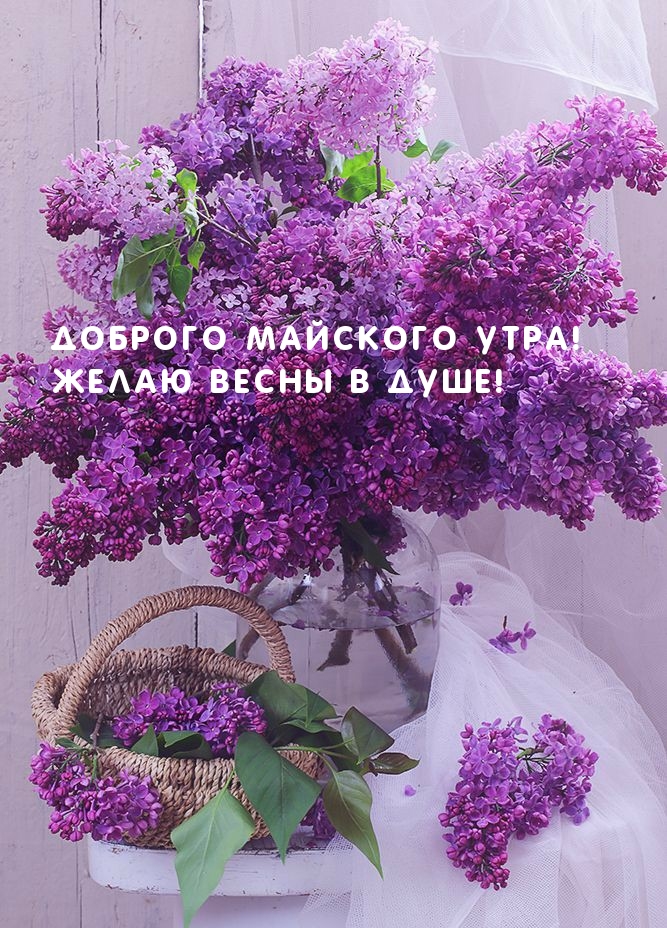 Утро мая — открытка с позитивом. Утро мая — открытка с позитивом.
