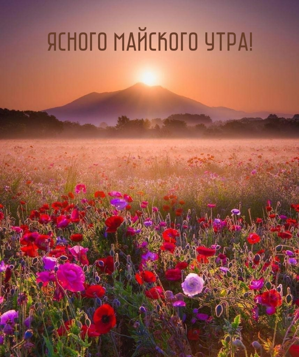 Наша подборка картинок с добрым утром мая 2023 поможет вам начать день с улыбки. Наша подборка картинок с добрым утром мая 2023 поможет вам начать день с улыбки.
