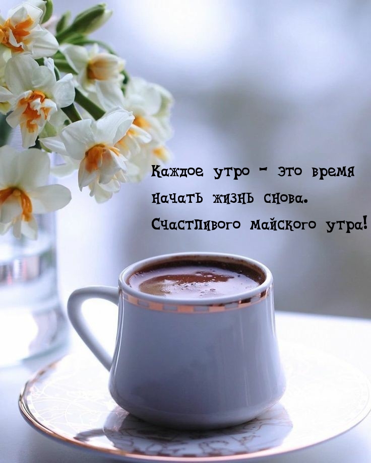 Пожелания с добрым майским утром Пожелания с добрым майским утром