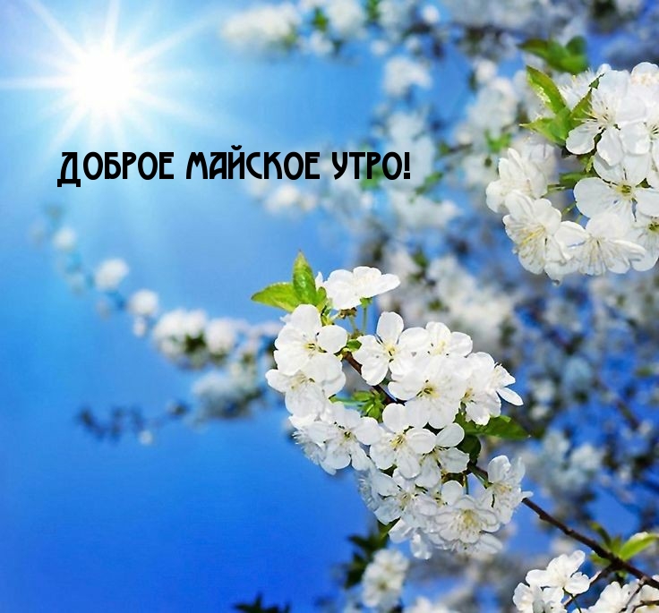 Доброго майского утра и хорошего дня Доброго майского утра и хорошего дня