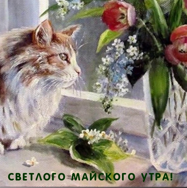 Разошлите своим друзьям открытки с пожеланиями доброго майского утра личными сообщениями или в групповые чаты. Разошлите своим друзьям открытки с пожеланиями доброго майского утра личными сообщениями или в групповые чаты.