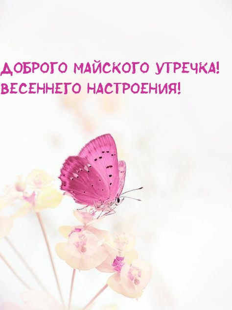 Картинки С Добрым Утром Волшебные И Чудесные (50 картинок). Картинки С Добрым Утром Волшебные И Чудесные (50 картинок).