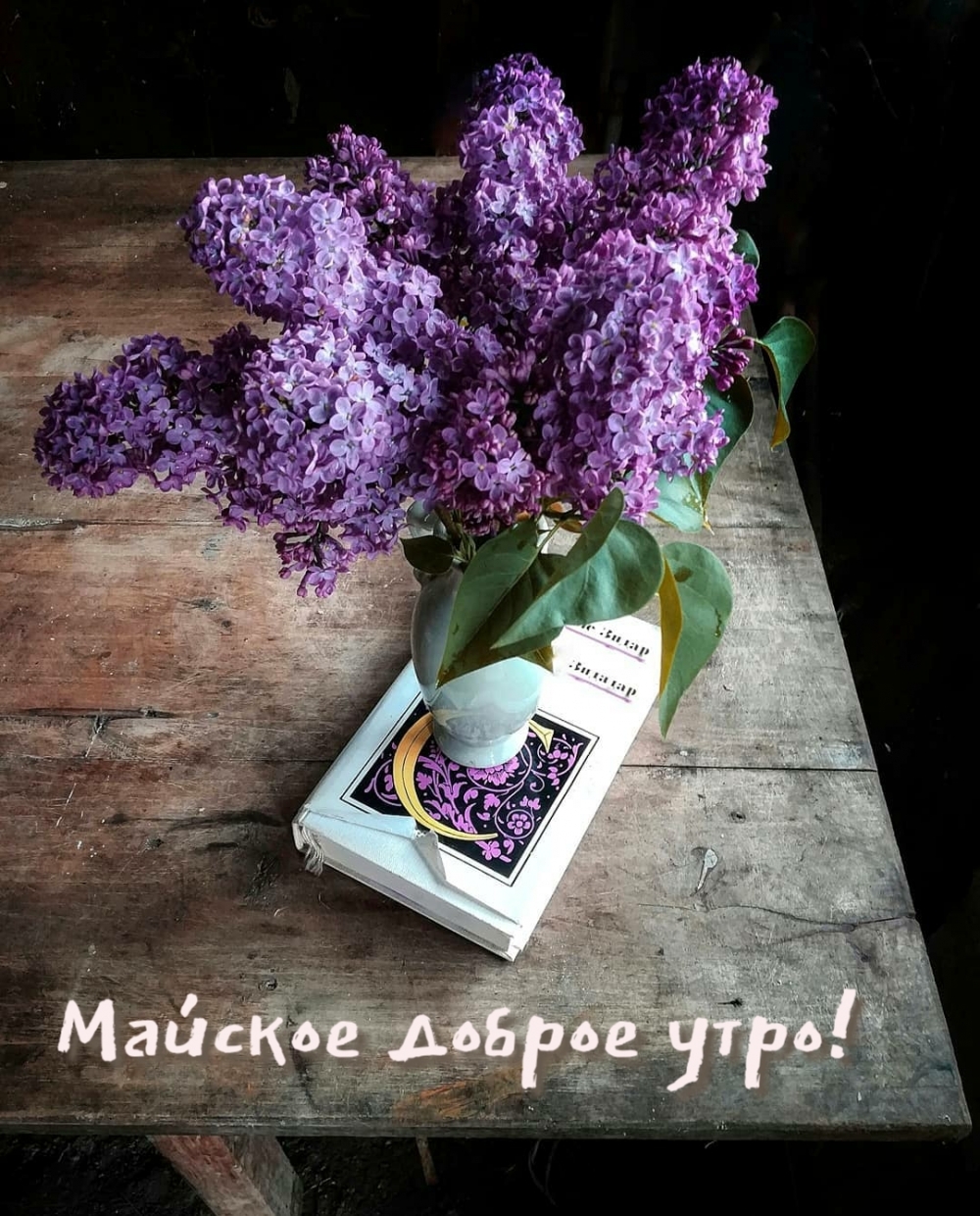 С прекрасным весенним майским утром. С прекрасным весенним майским утром.