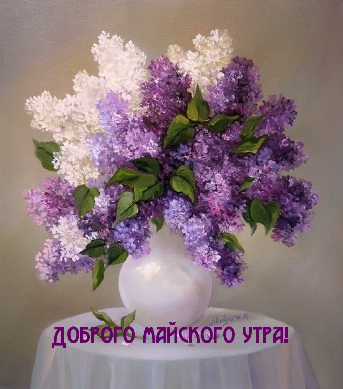 Доброе Майское утро. Доброе Майское утро.