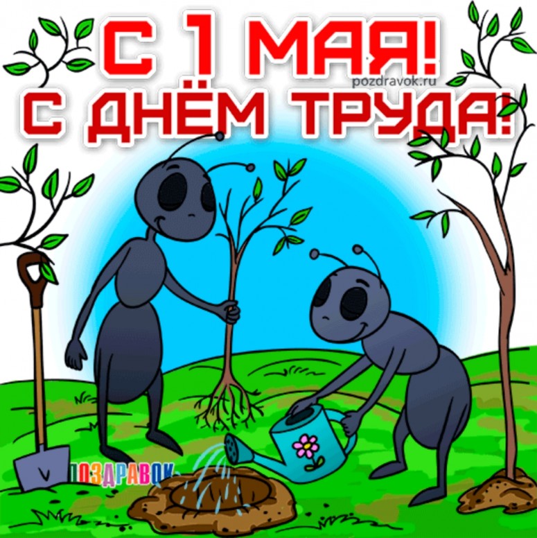 Первое мая приколы Первое мая приколы