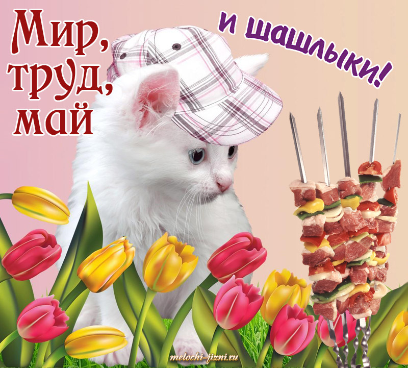 Открытки с 1 мая прикольные Открытки с 1 мая прикольные