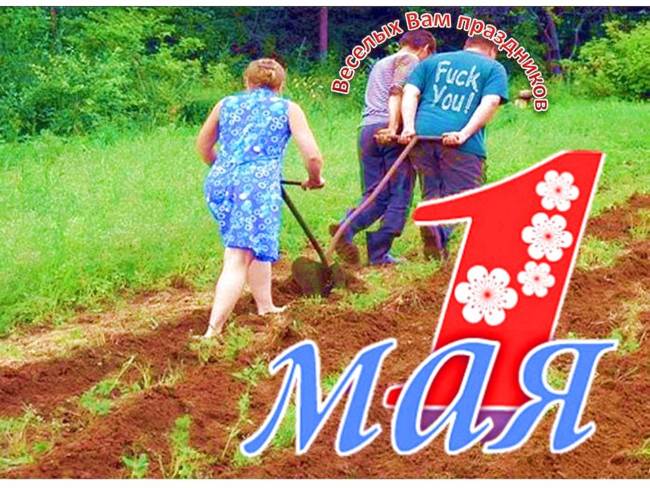 Шуточные поздравления с 1 мая. Шуточные поздравления с 1 мая.