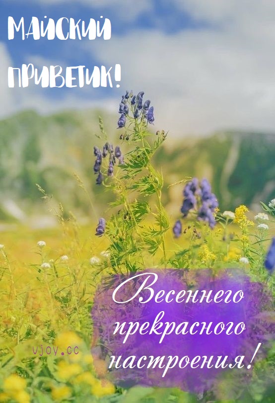 Прекрасного майского дня