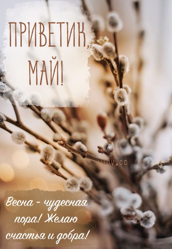 Радостного доброго майского дня.