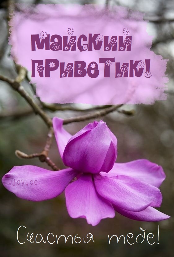 Майский привет тебе от меня.