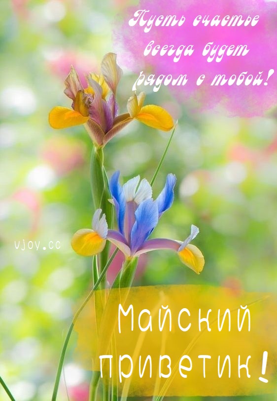Доброго Дня Картинки Позитивные Весенние.