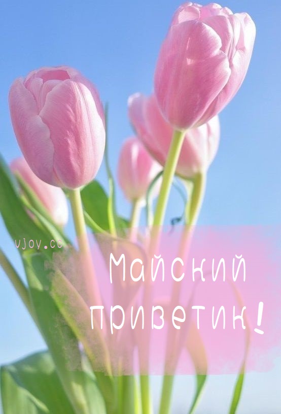 Весеннего настроения пожелания