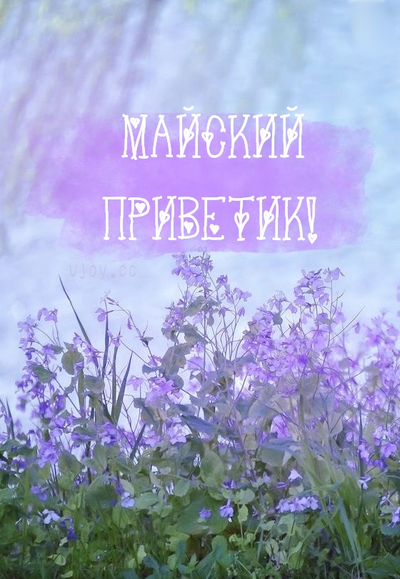 Картинка Майский Привет!
