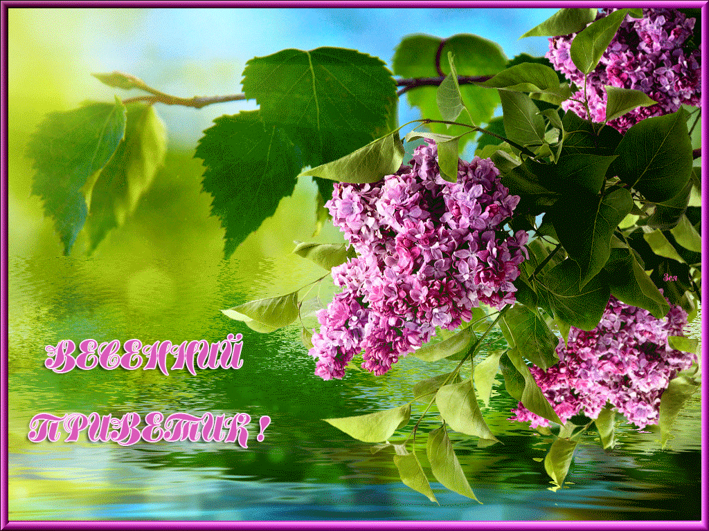 Майский привет.