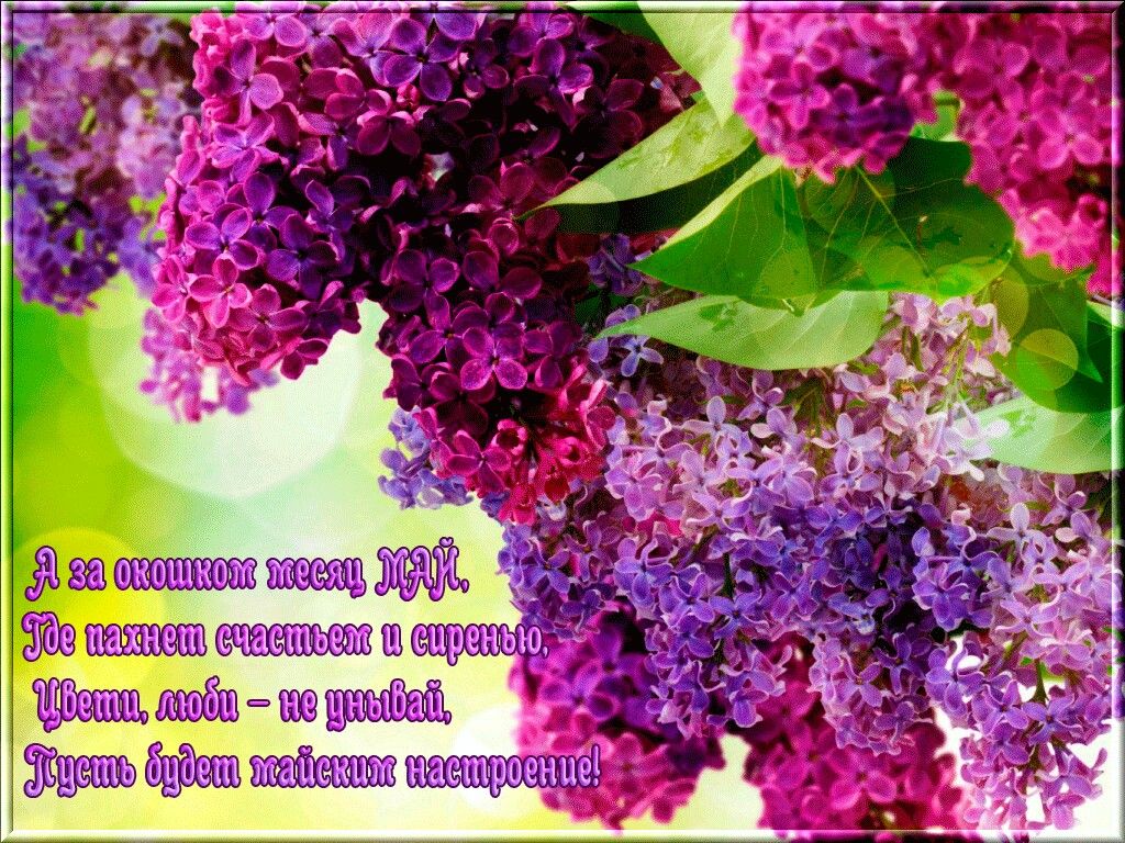 Яркого теплого и чудесного дня