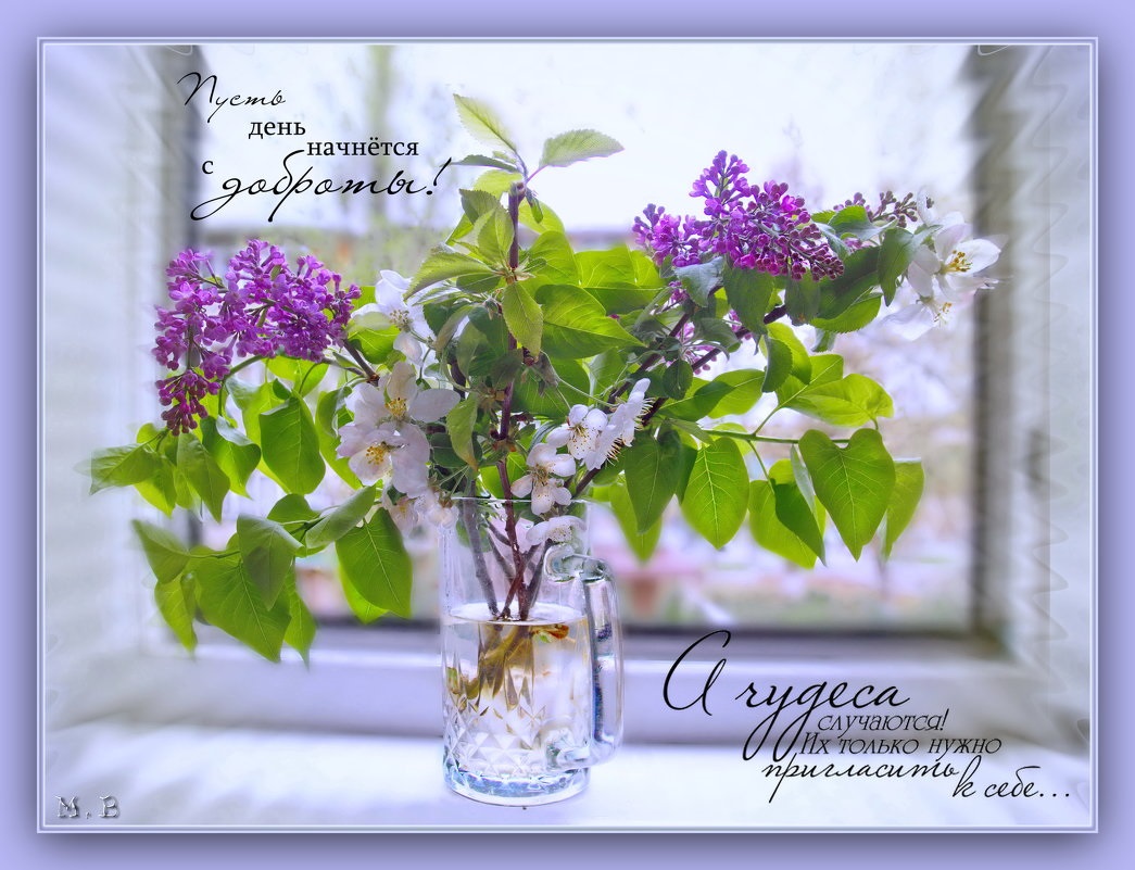 Доброго теплого дня