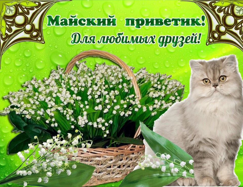 Открытки с добрым майским днём.