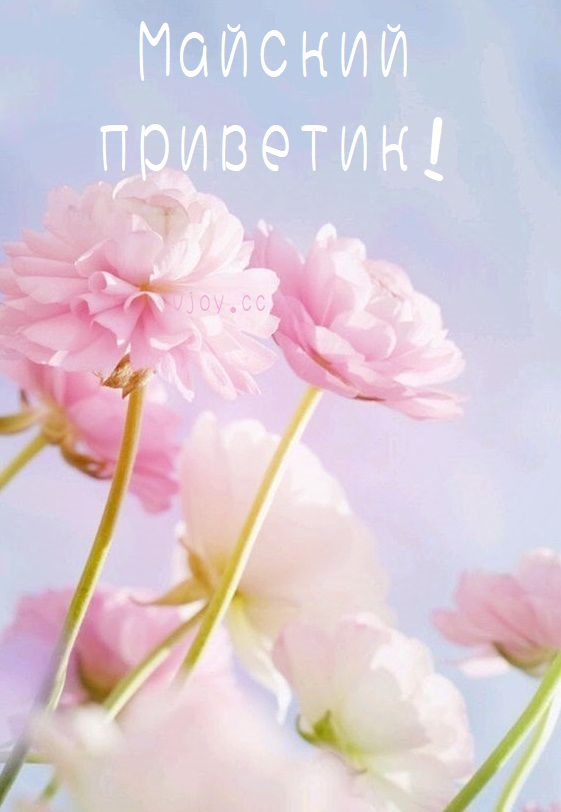 Картинка Прекрасного майского дня.