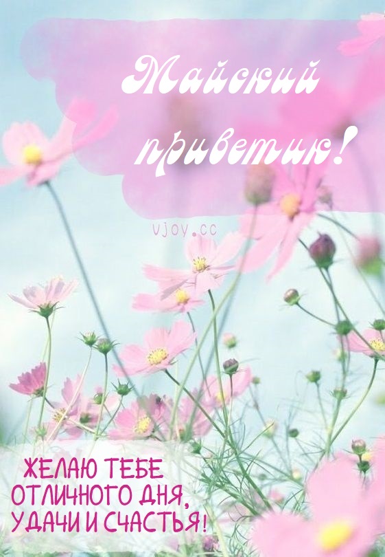 Доброго майского дня