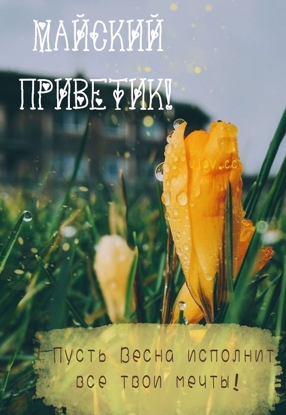 Открытка прекрасного майского дня
