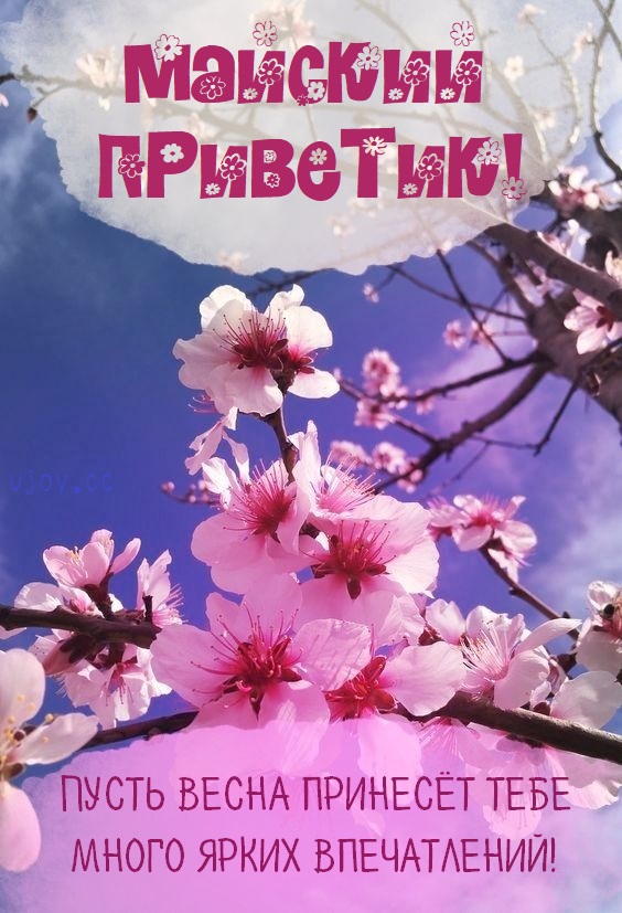 Картинка добрый день с цветами!