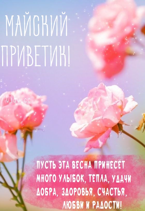 Открытки Майский привет