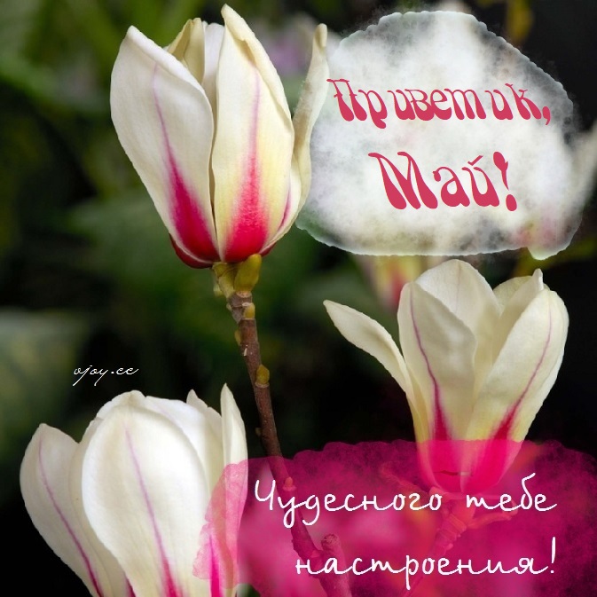 Прекрасного весеннего настроения