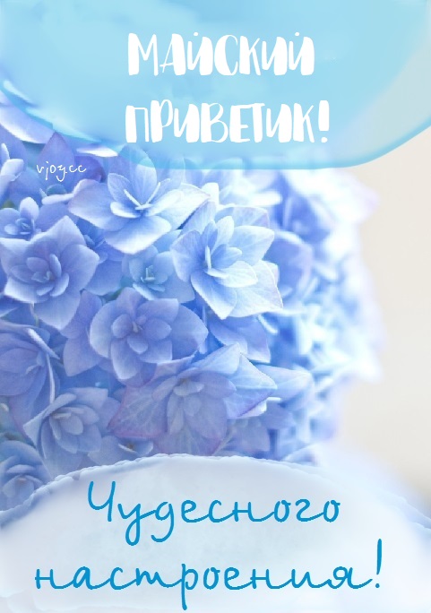 Прекрасного весеннего денька