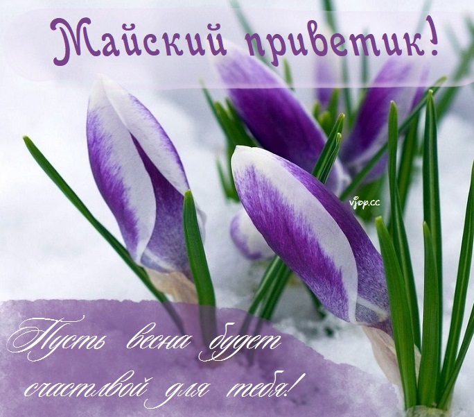 Пожелания с добрым майским днём.