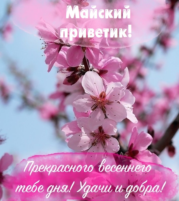 Картинки майский приветик.