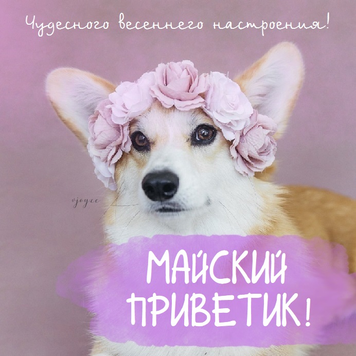 Хорошего весеннего дня