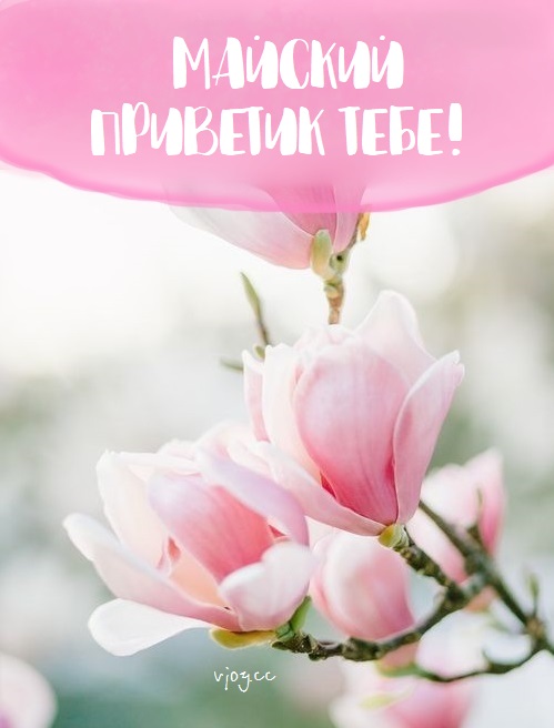 Прекрасного весеннего дня