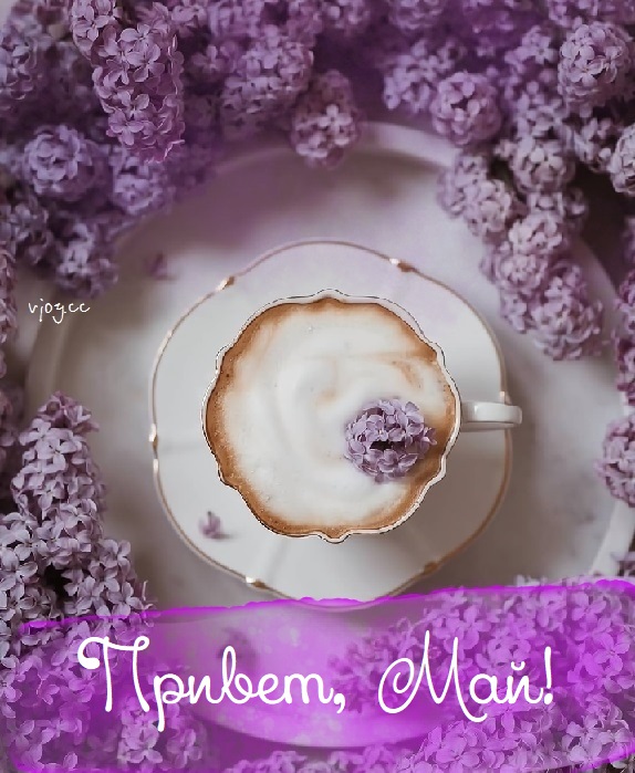 Доброго весеннего майского дня