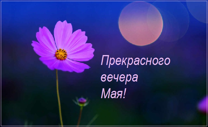 Майский чудесный вечерок.