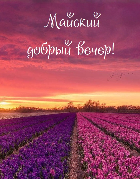 Доброго вечера и шикарного, прекрасного, классного настроения!