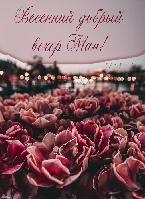 Прекрасного весеннего вечера и хорошего настроения.