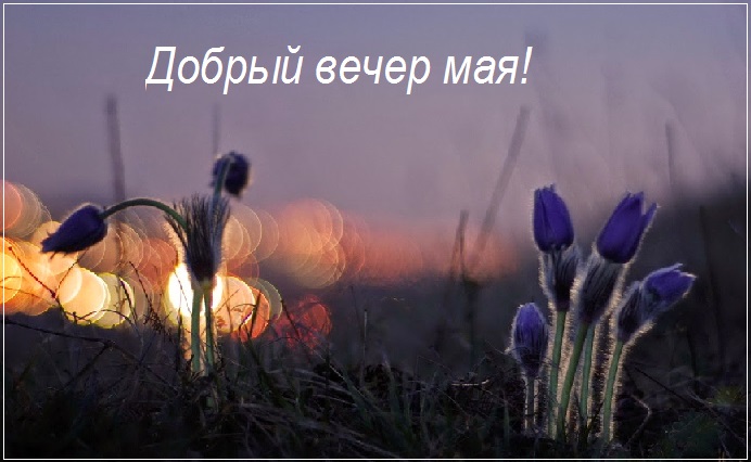 Прекрасного майского вечера