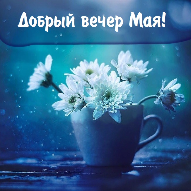 Прекрасного весеннего вечера и хорошего настроения